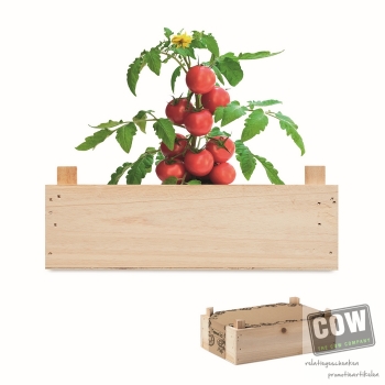 Afbeelding van relatiegeschenk:Tomatenkweekset  houten kratje